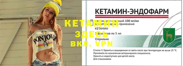 ешки Алексин