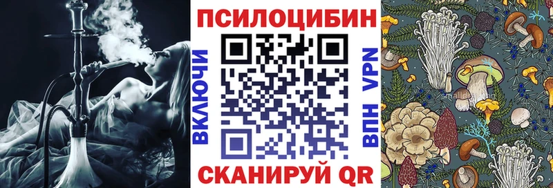 наркотики  Льгов  Галлюциногенные грибы прущие грибы 
